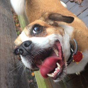 Meet your Posher, Matylda